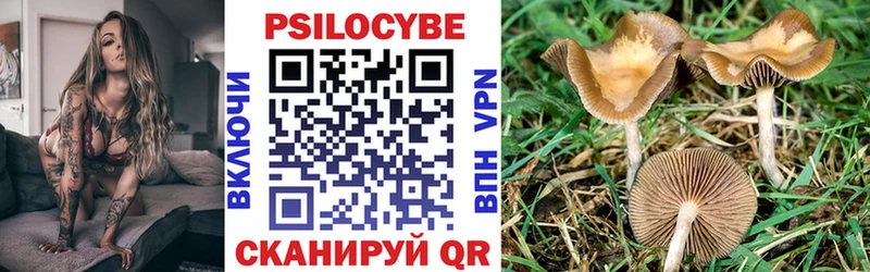 Галлюциногенные грибы Psilocybe Поронайск