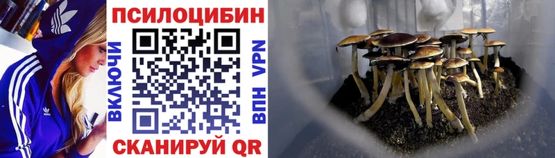 Псилоцибиновые грибы прущие грибы  Поронайск 